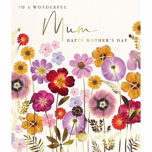 Picture of TO A WONDERFUL MUM HAPPY MOTHERS DAY